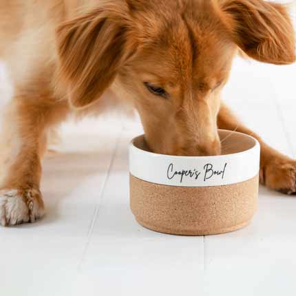 Ceramic Dog Bowls