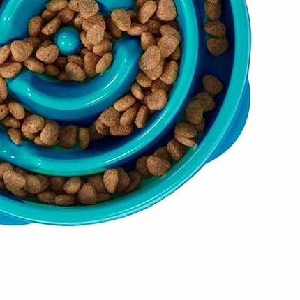 Slow Feeder Dog Bowls