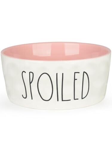 27oz Ceramic Dog Bowl - Large 6'' Food &...