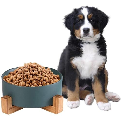 Prendieen Ceramic Dog Bowl 28 oz with...