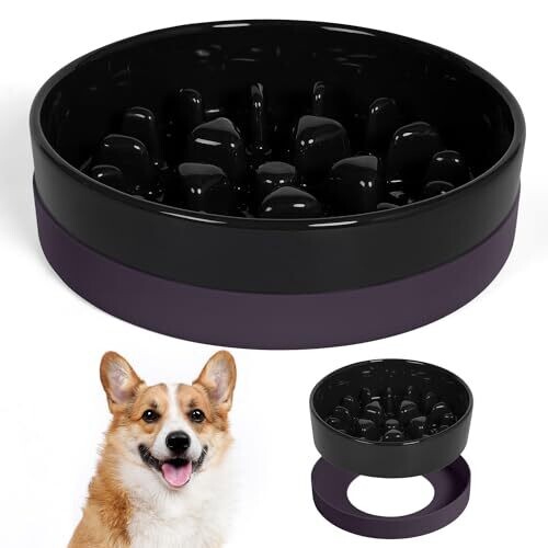 Sted Ceramic Slow Feeder Dog Bowls with...