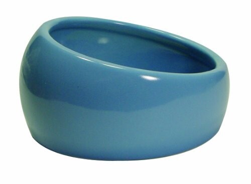 Living World Ceramic Ergonomic Pet Dish...
